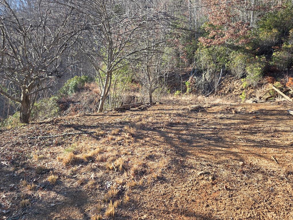 Lot 31 Lyle Knob Road