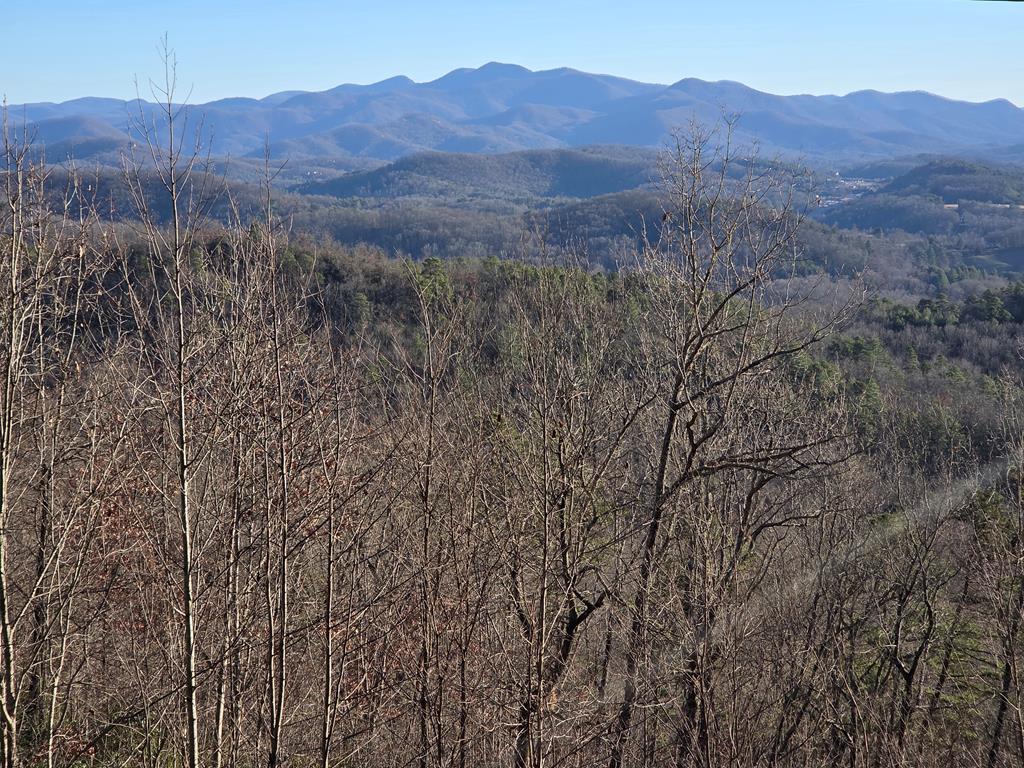 Lot 31 Lyle Knob Road