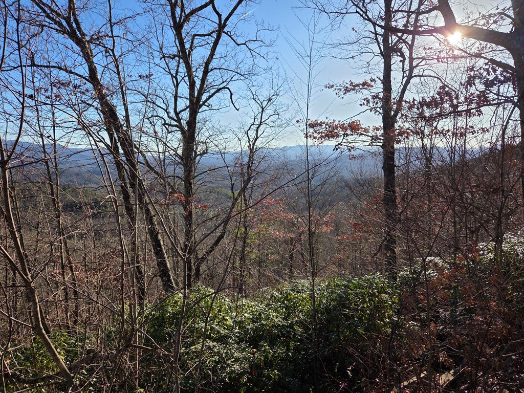 Lot 31 Lyle Knob Road