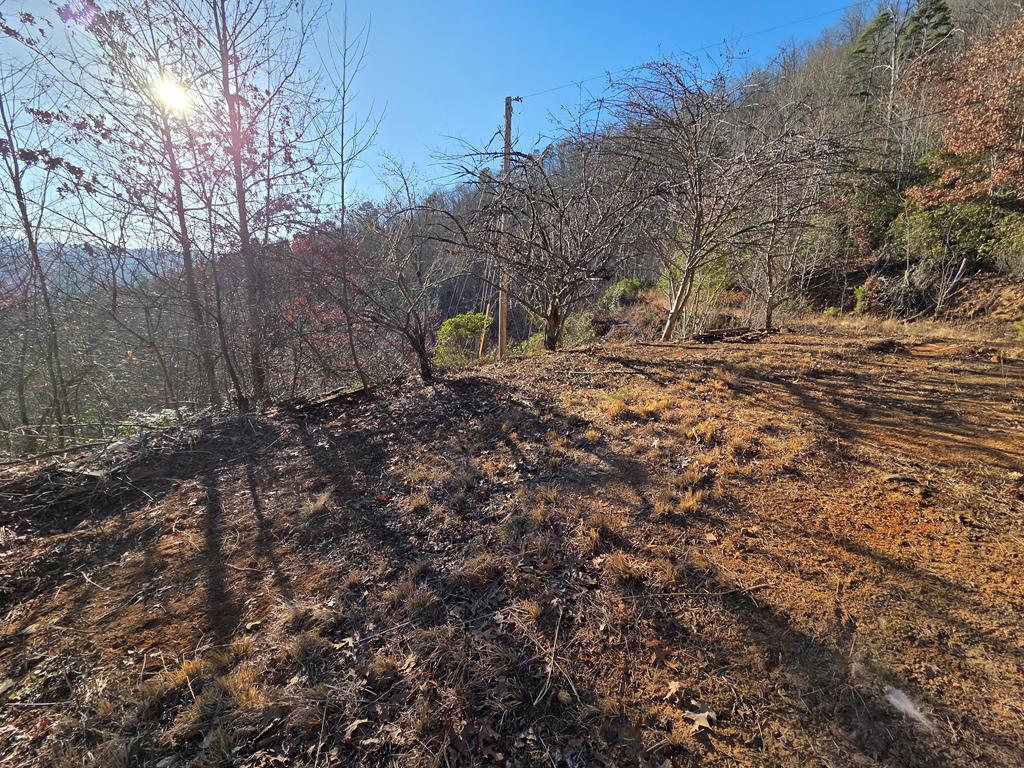 Lot 31 Lyle Knob Road