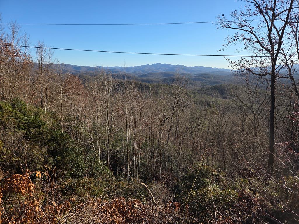 Lot 31 Lyle Knob Road