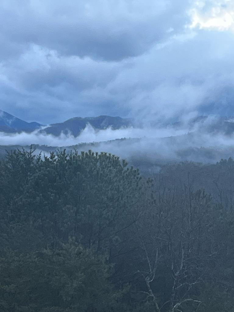 789 Chapel Cove Circle