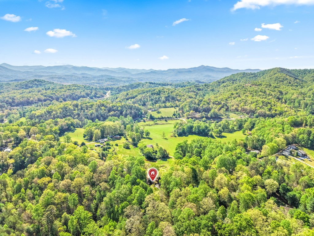 307 Lloyd Tallent Road