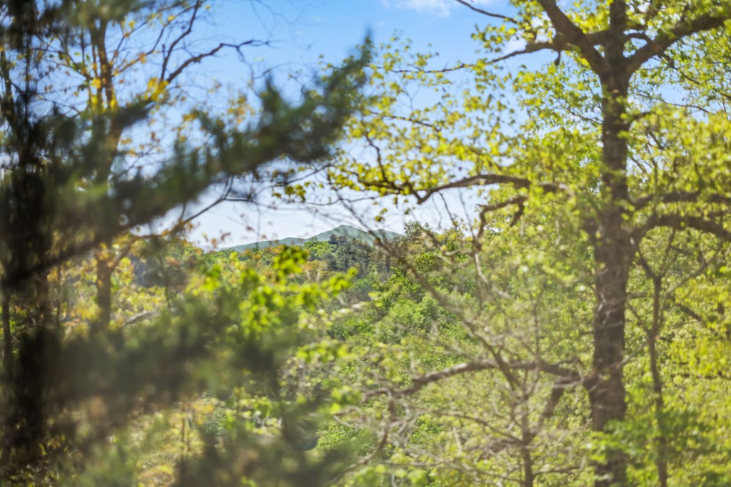 307 Lloyd Tallent Road