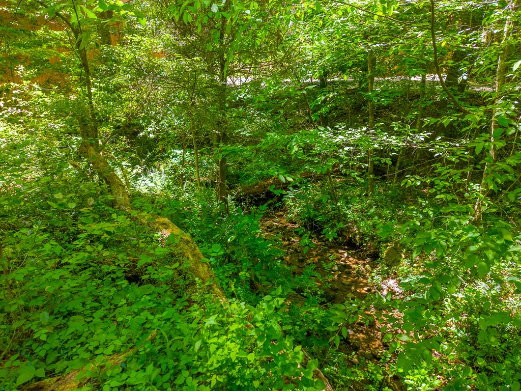 16 Limestone Drive