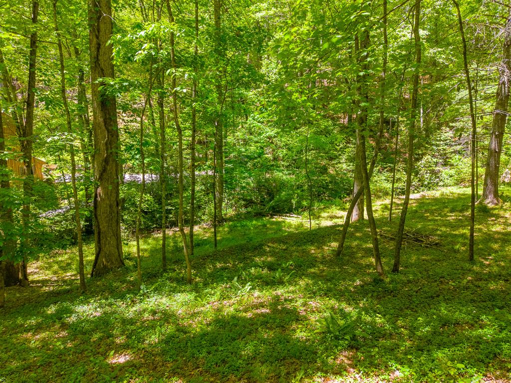 16 Limestone Drive