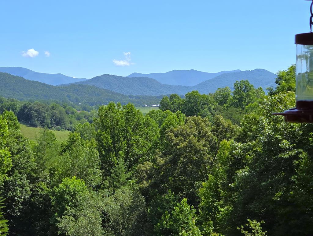 244 Willow Cove