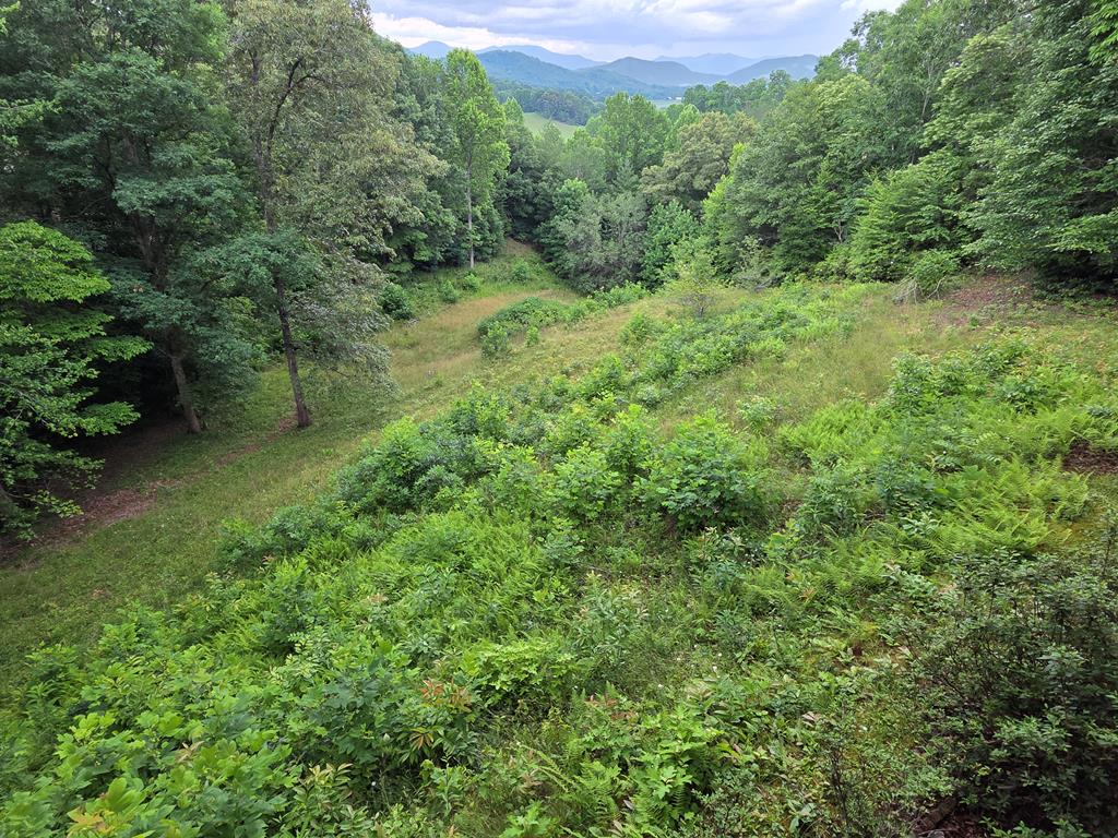 244 Willow Cove