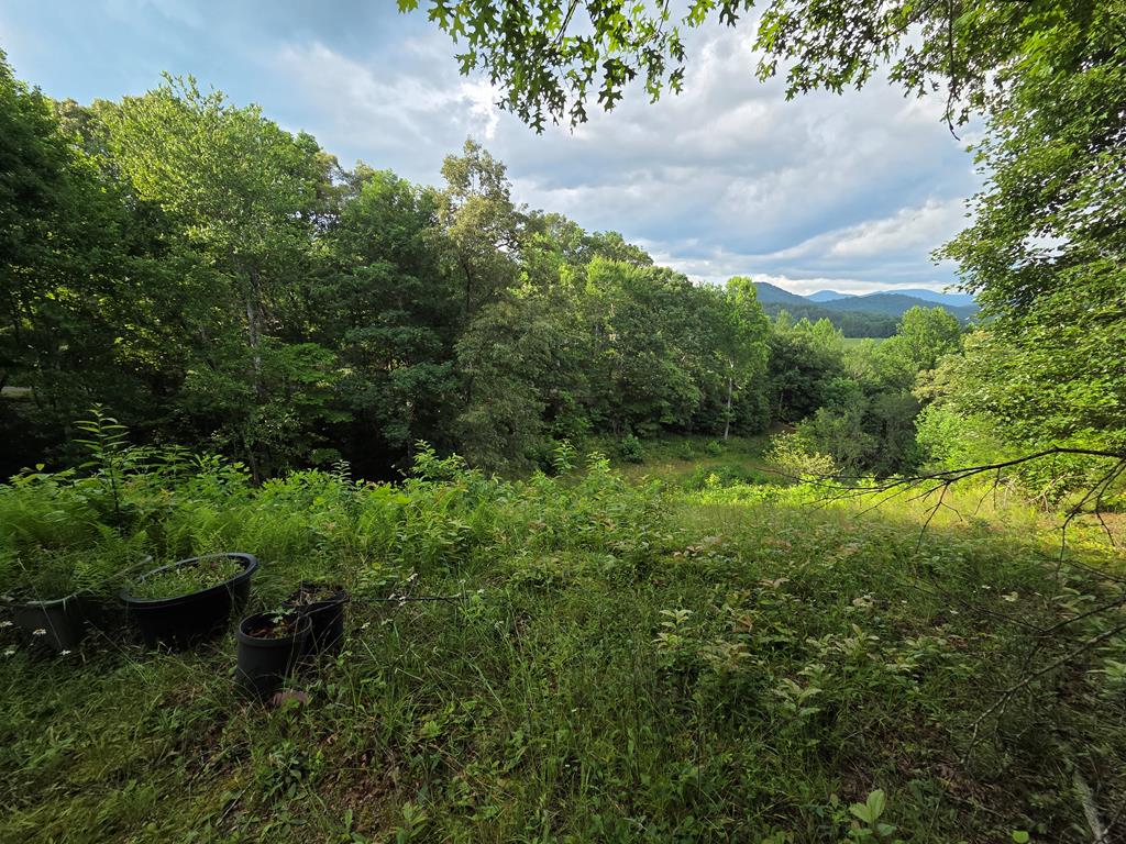 244 Willow Cove
