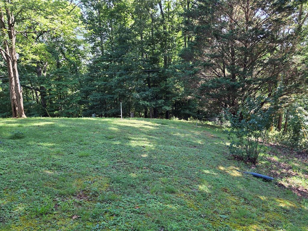 220 Bear Mountain Road