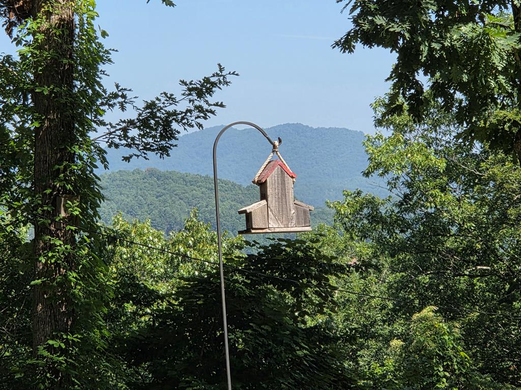220 Bear Mountain Road