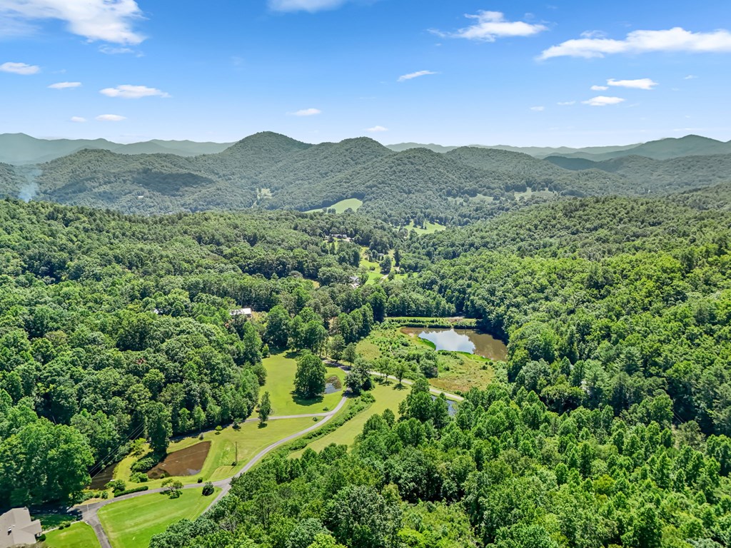 1135 Daves Creek Rd