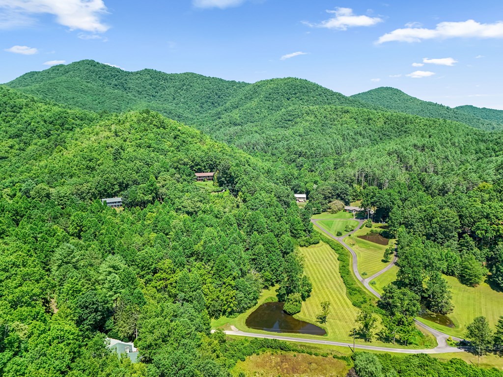 1135 Daves Creek Rd