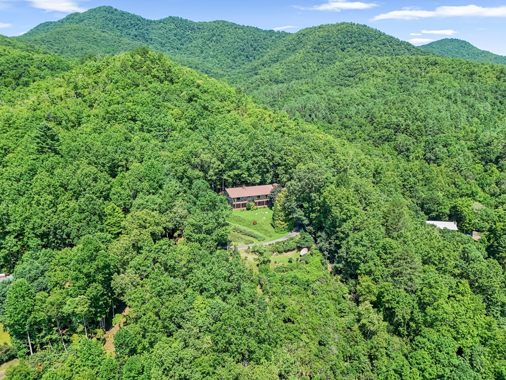 1135 Daves Creek Rd