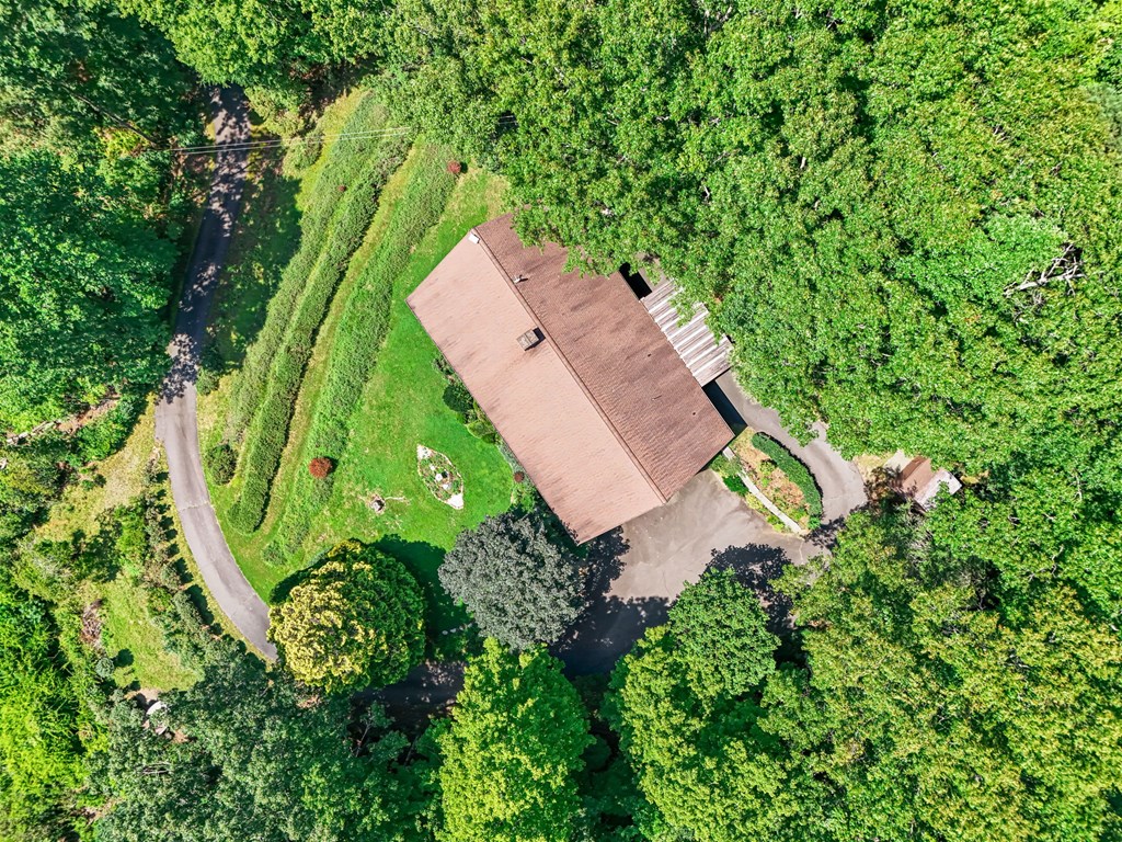 1135 Daves Creek Rd
