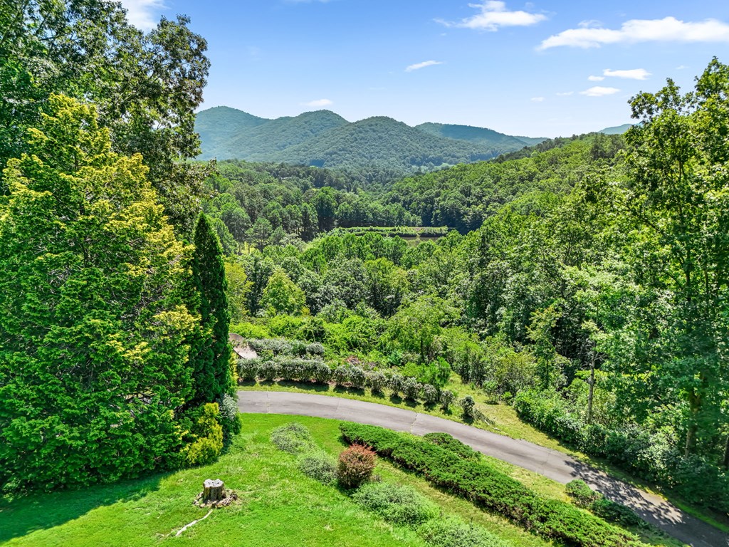 1135 Daves Creek Rd