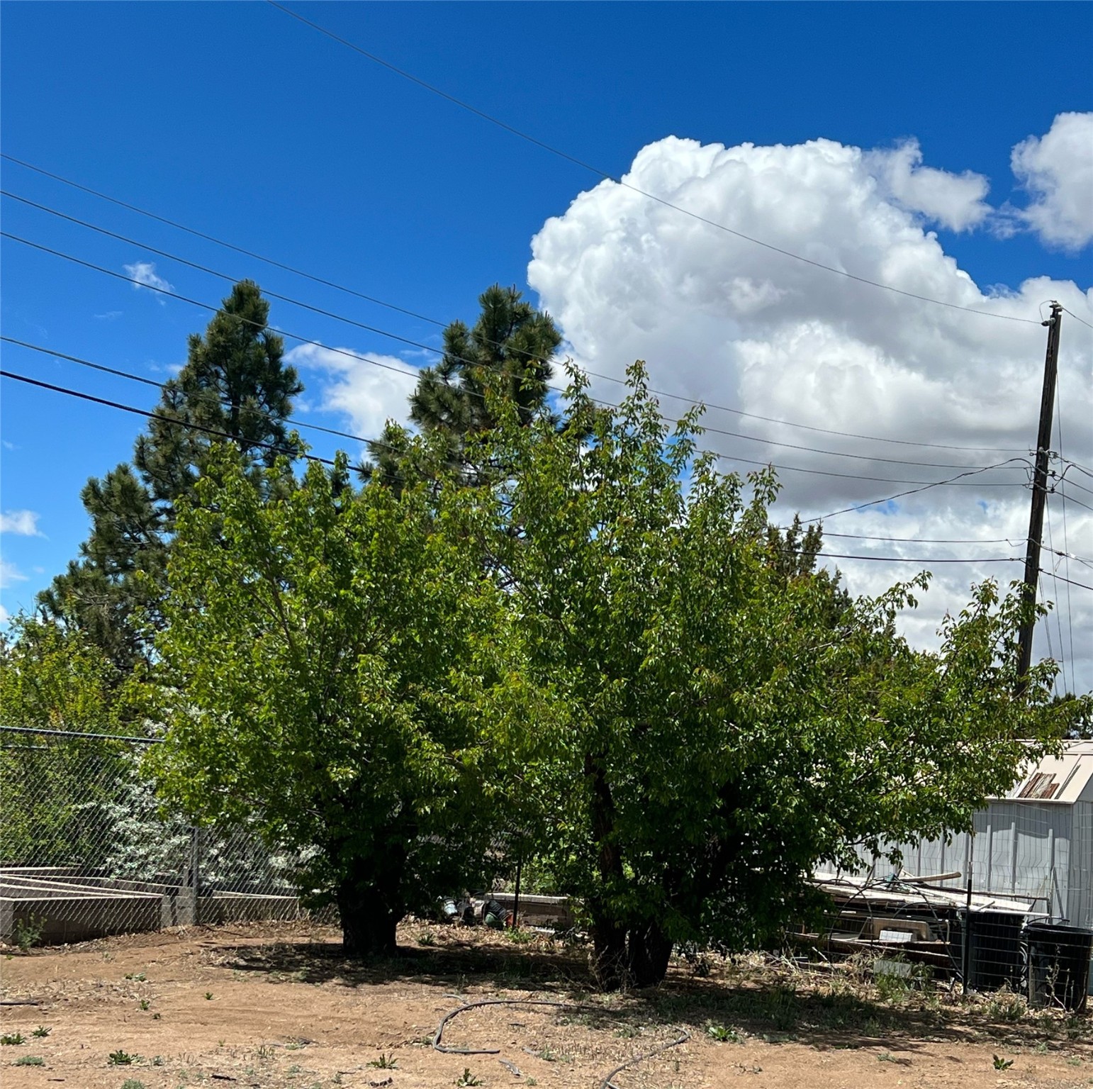 140 Aragon Street