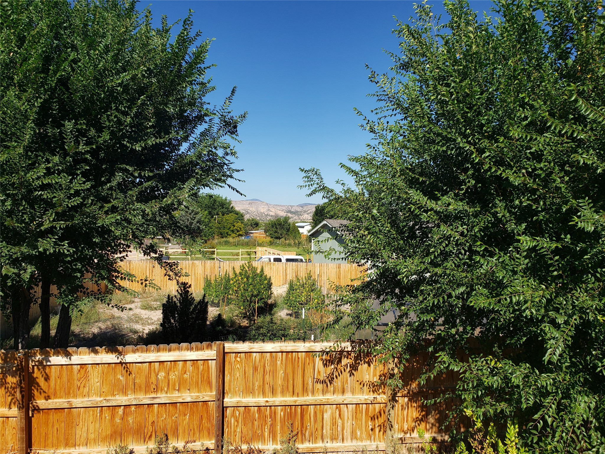 17 Purple Sage