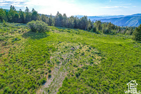 17602 S WOLF CREEK CIR Unit: C39