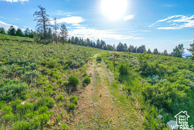 17602 S WOLF CREEK CIR Unit: C39