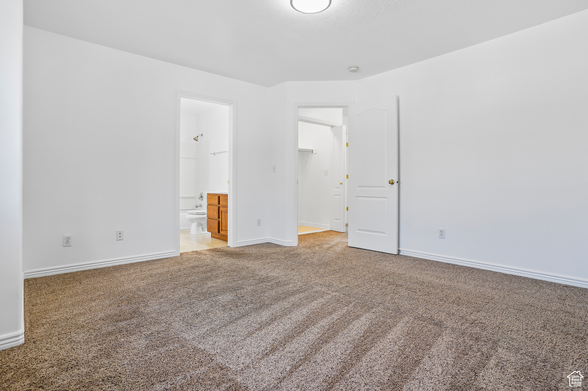 815 W BIG LEAF CT