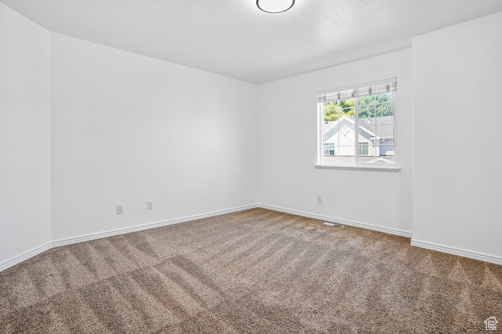 815 W BIG LEAF CT
