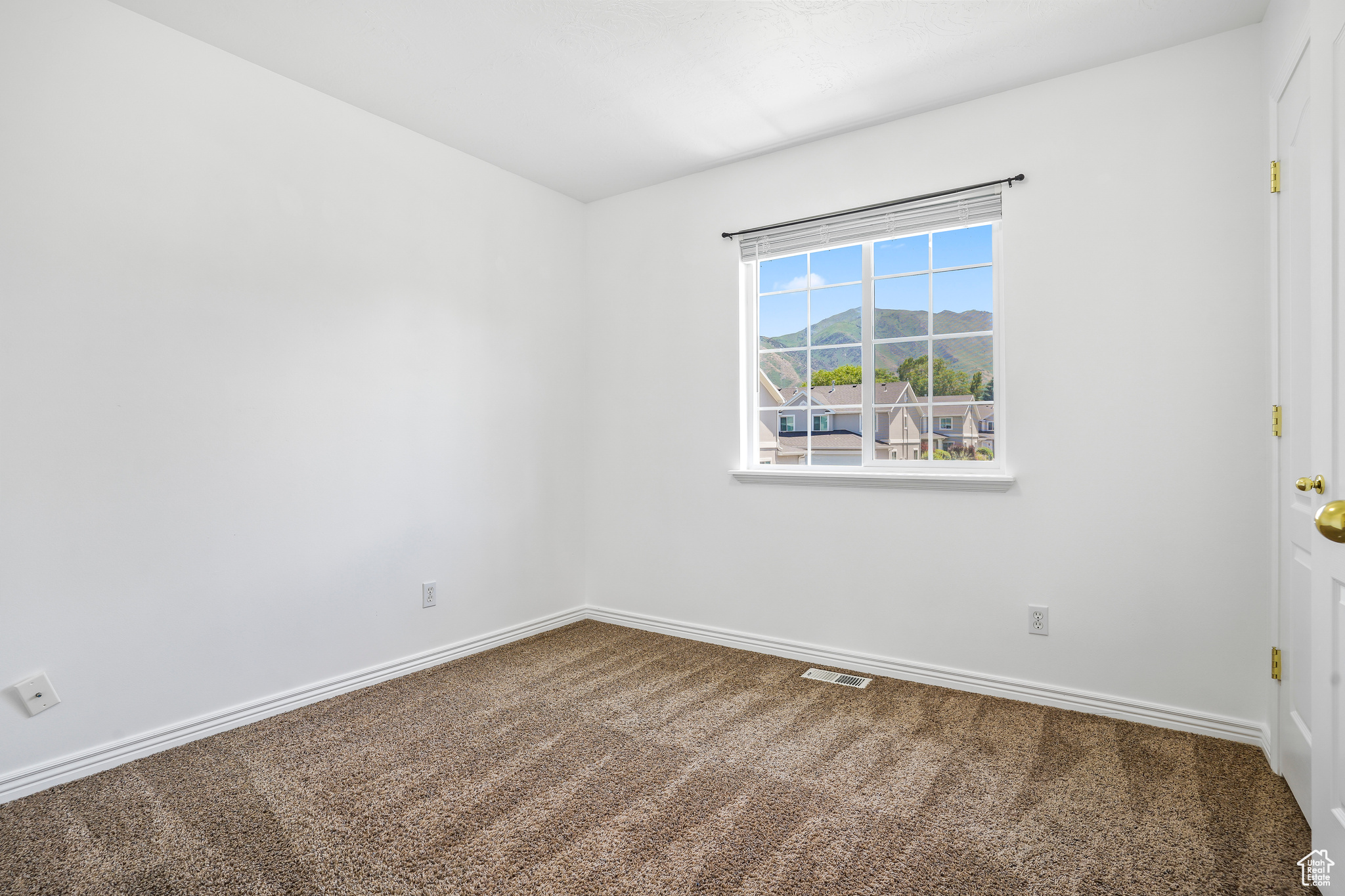 815 W BIG LEAF CT