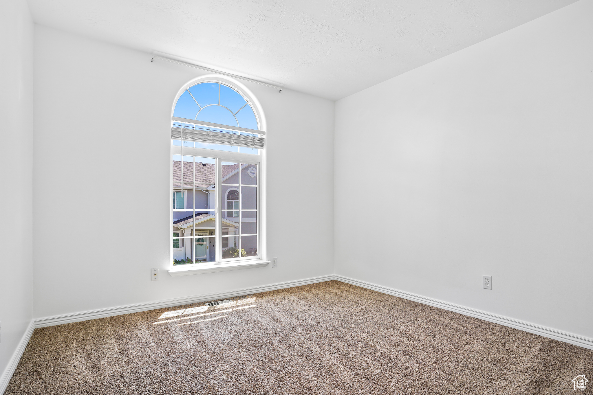 815 W BIG LEAF CT