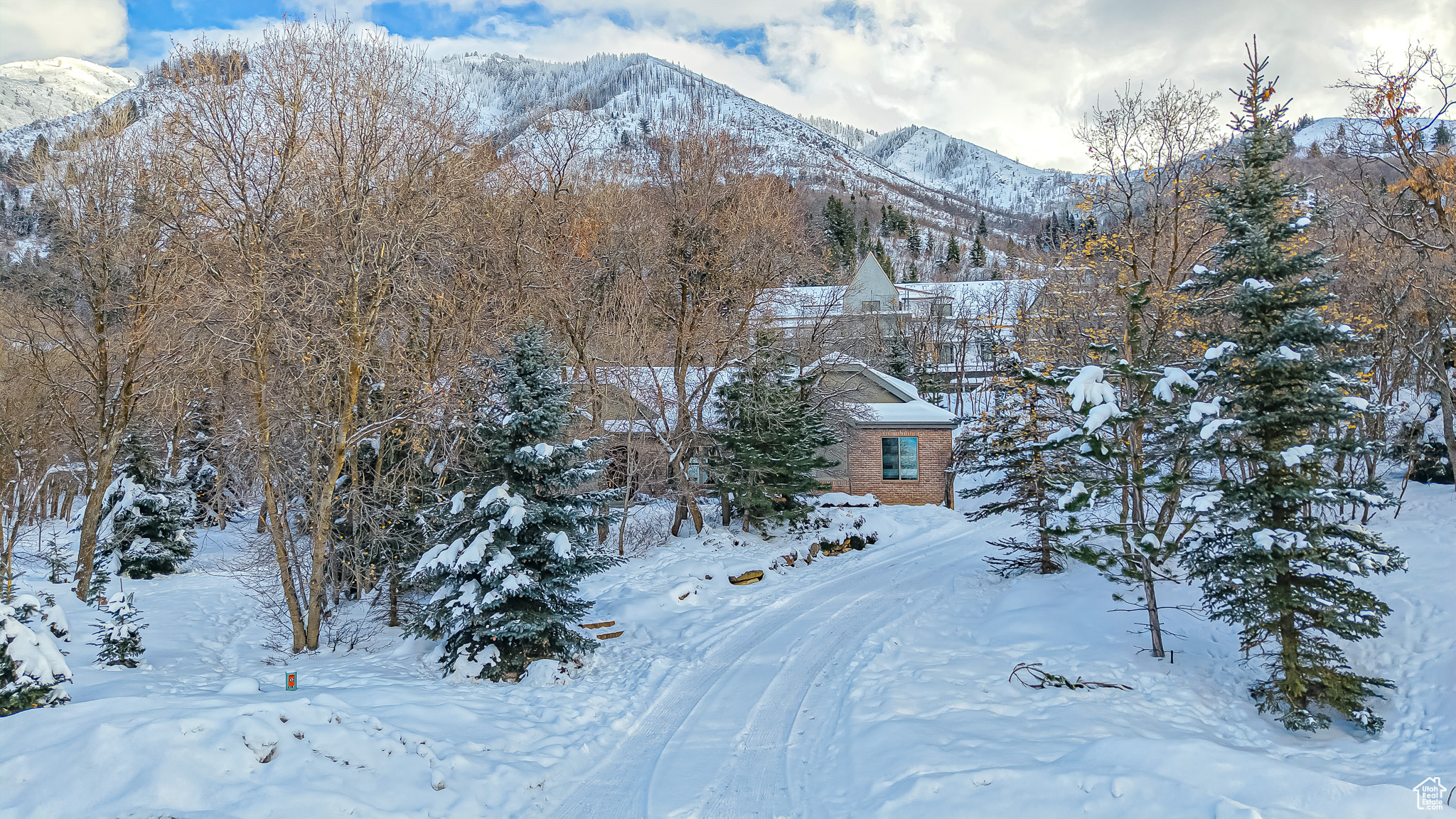 115 BRIDGER CIR
