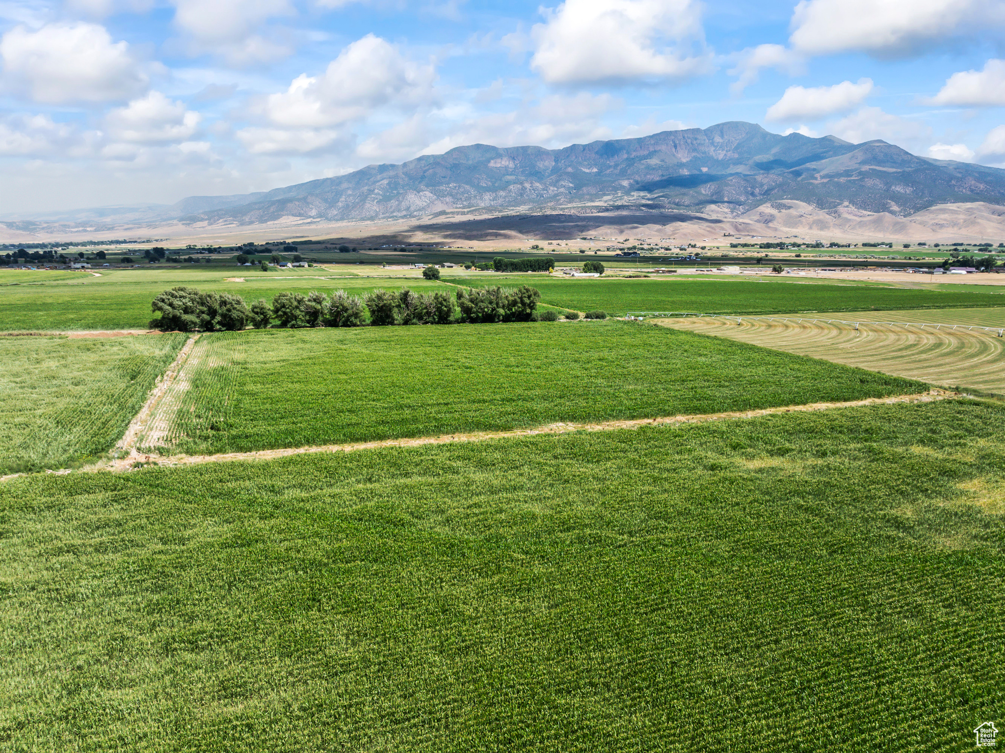 Elsinore