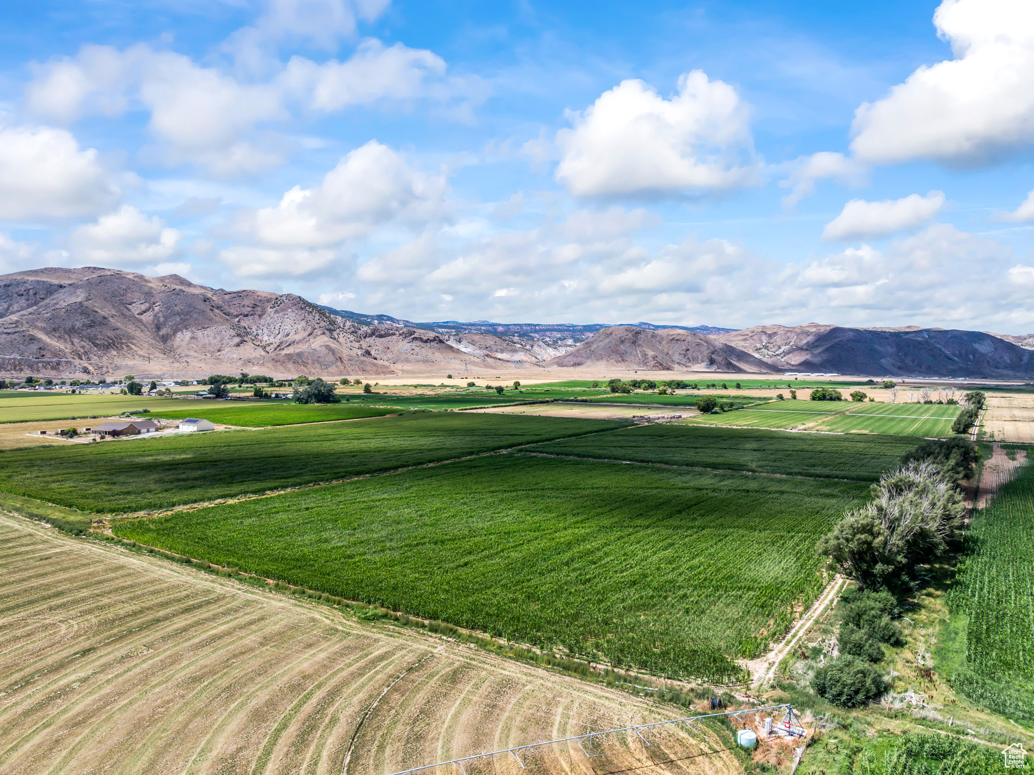 Elsinore