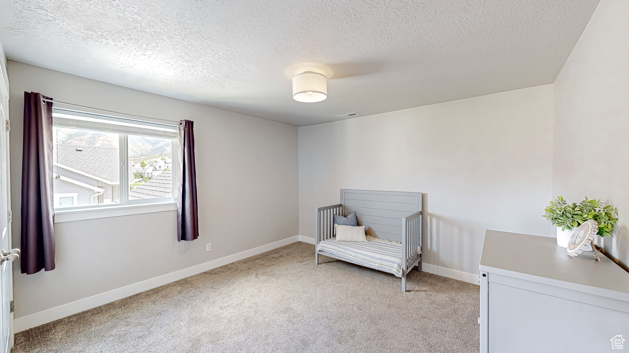 37 E MEADOW LARK LN