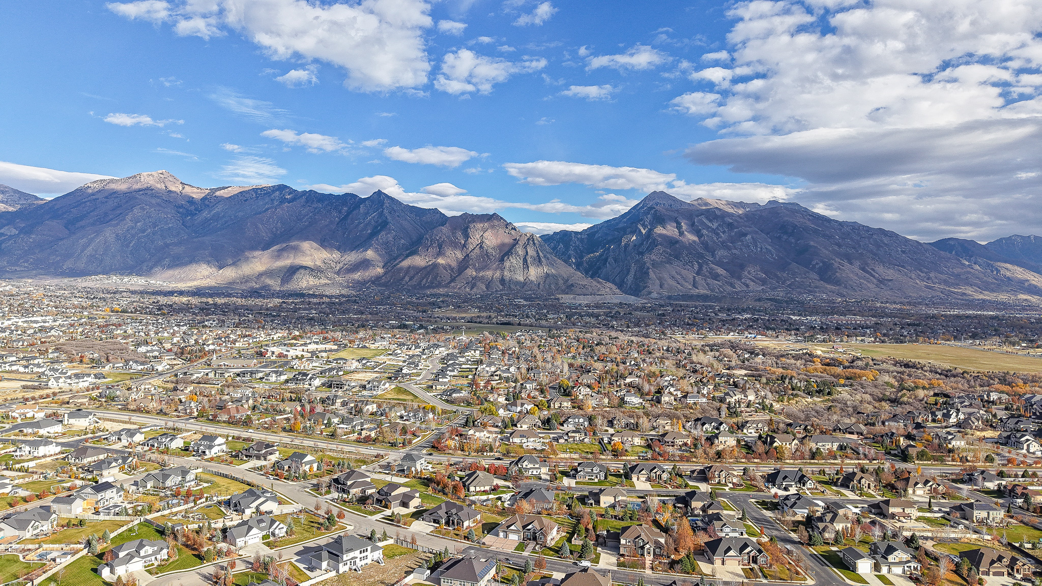 11578 N BROADLEAF HOLLOW LN