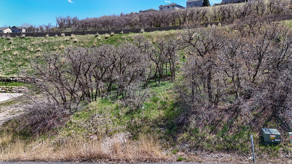 1846 E SEVEN OAKS LN Unit: 442