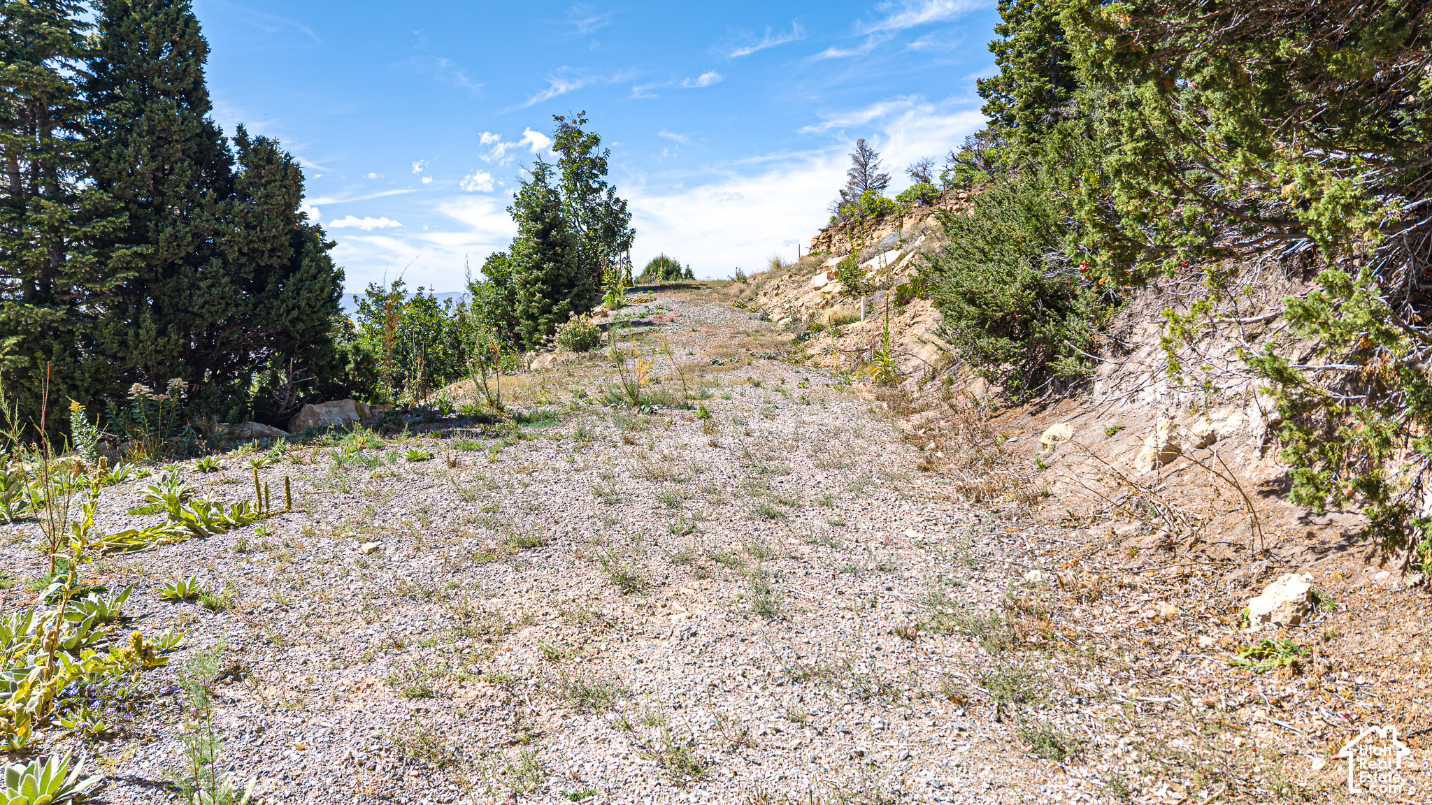 1197 E QUAKING HOLLOW RD Unit: 1197