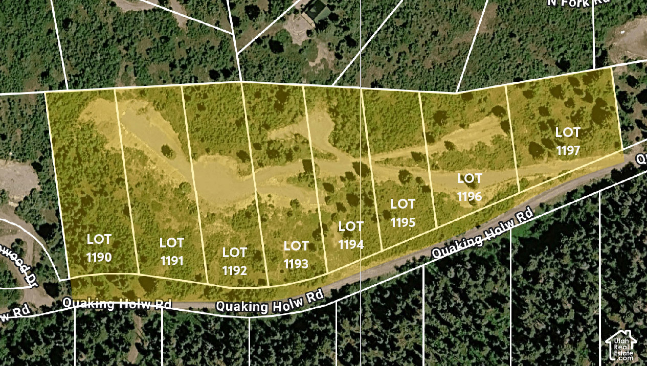 1197 E QUAKING HOLLOW RD Unit: 1197