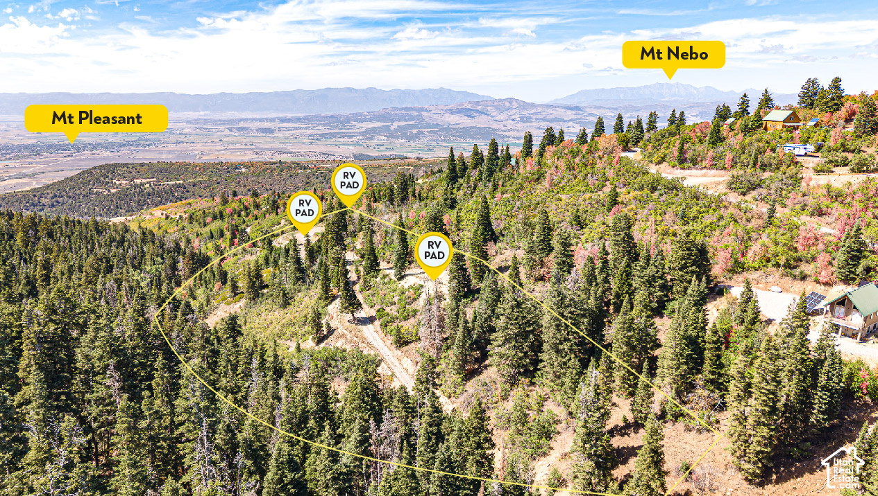 1197 E QUAKING HOLLOW RD Unit: 1197