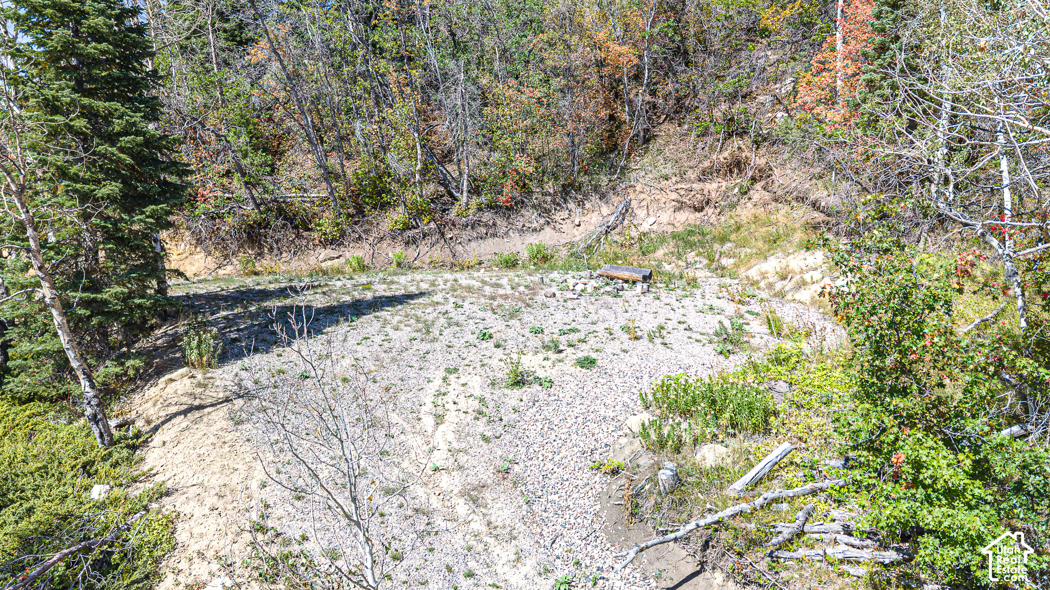1197 E QUAKING HOLLOW RD Unit: 1197
