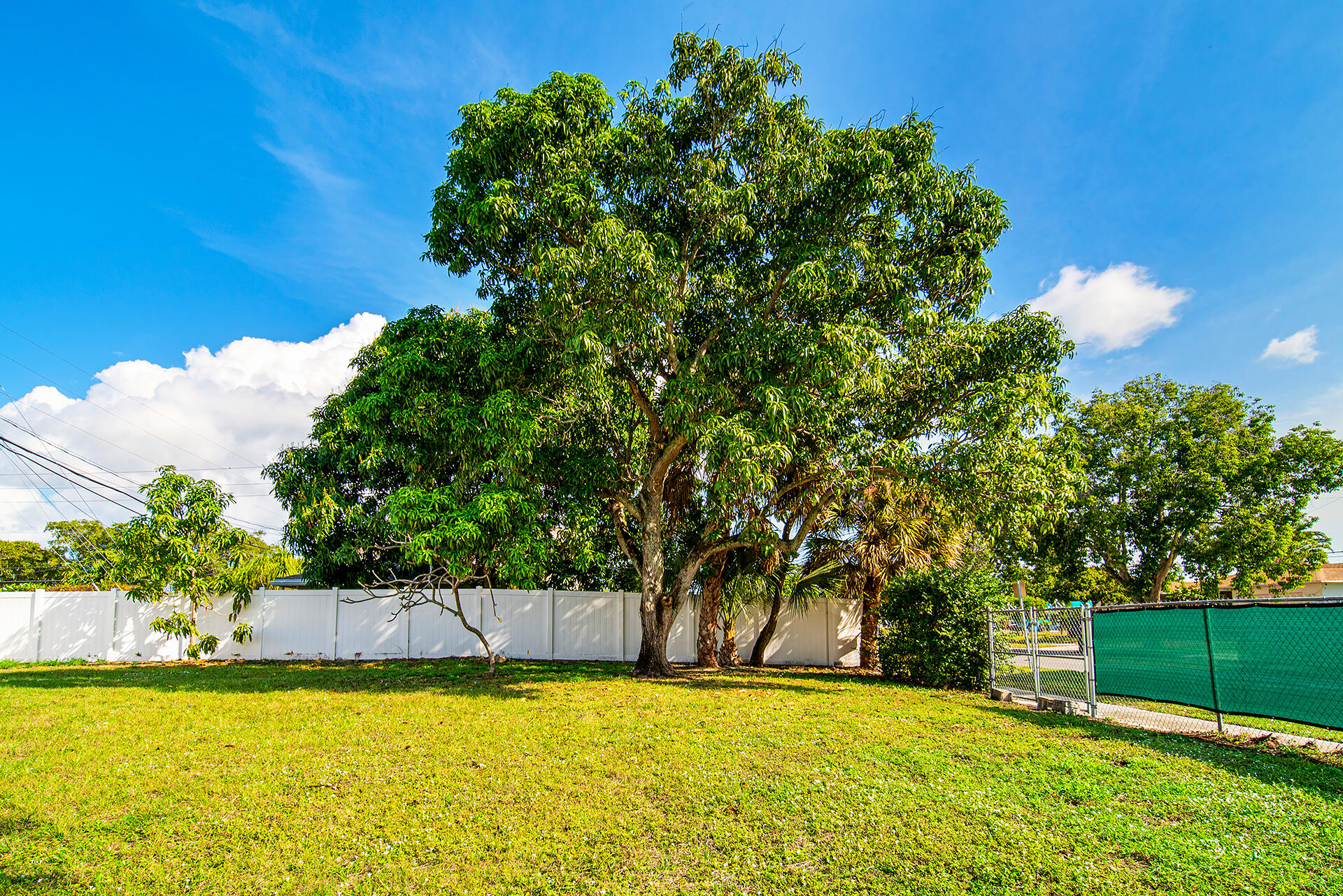 1409 40th Street