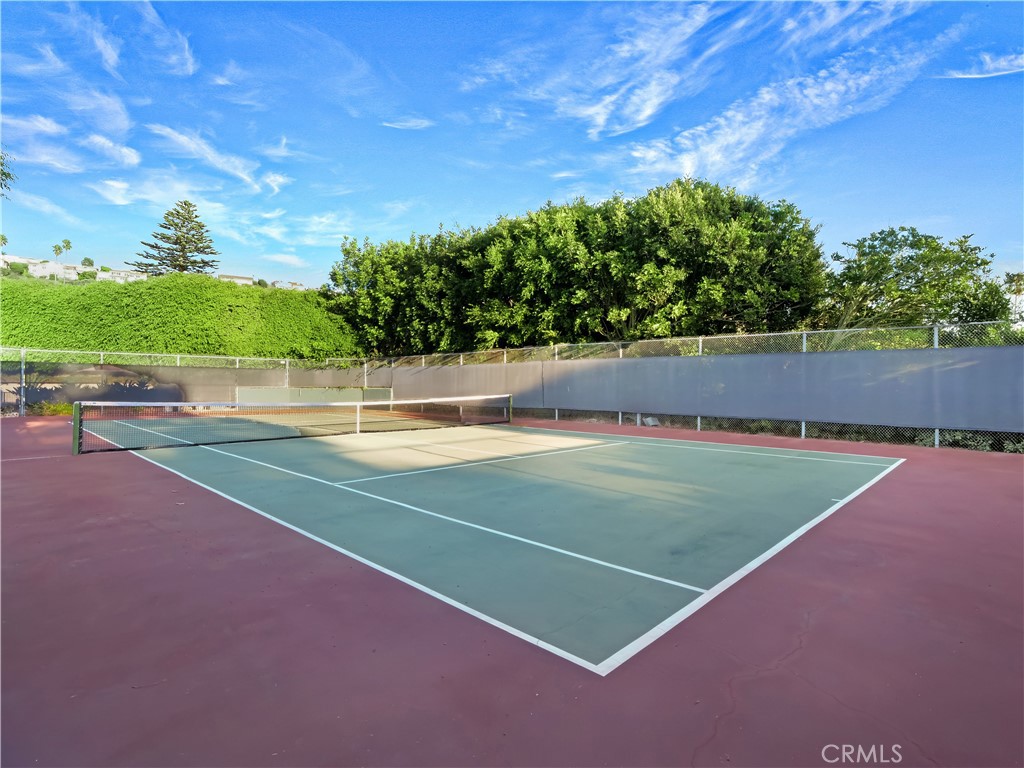 30256 Avenida Selecta