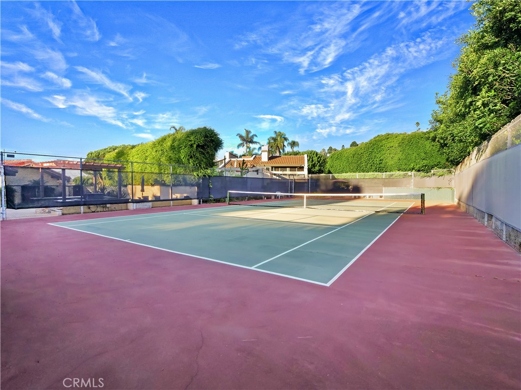 30256 Avenida Selecta