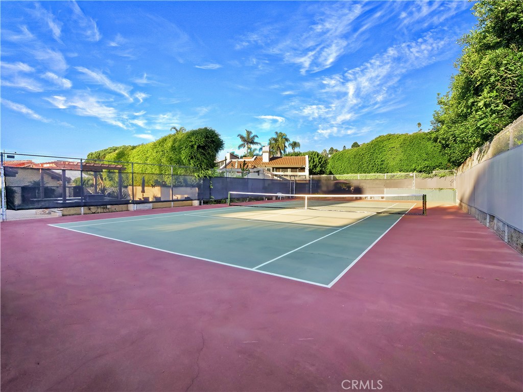 30256 Avenida Selecta