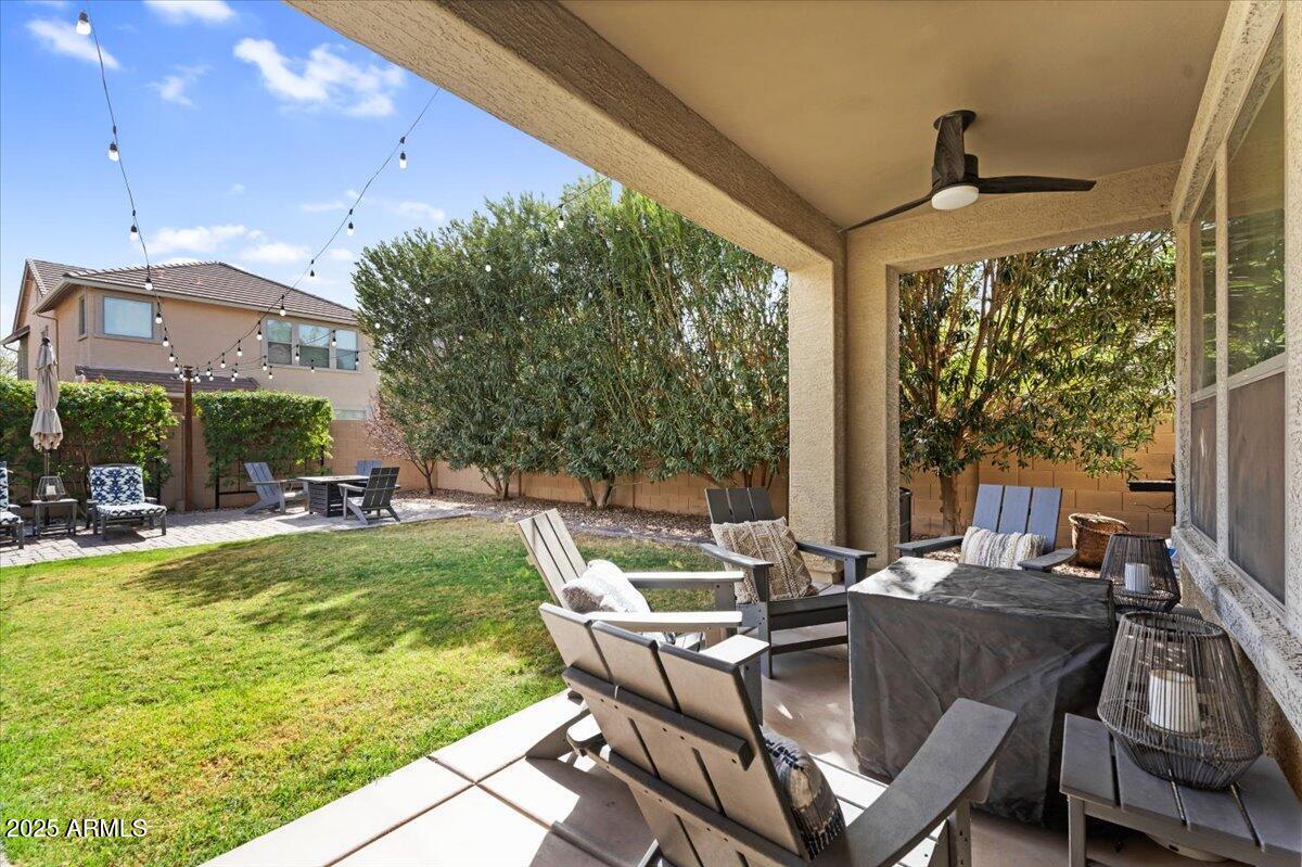 3541 E AMBER Lane
