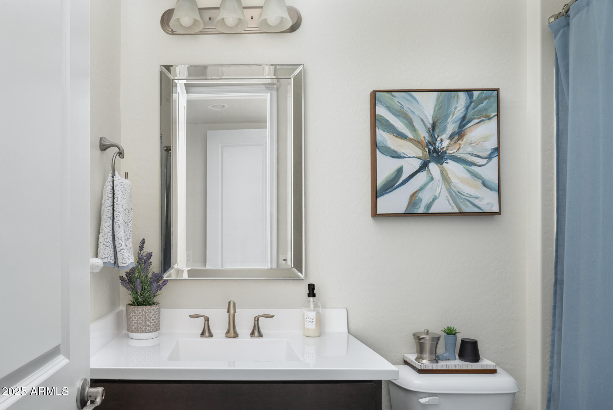 29565 N SORRENTO Drive