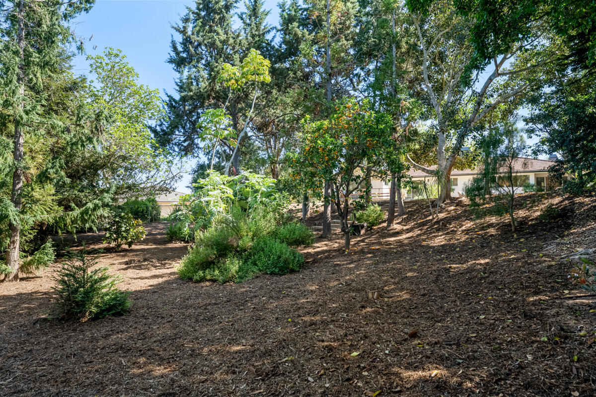 4548 Camino Molinero