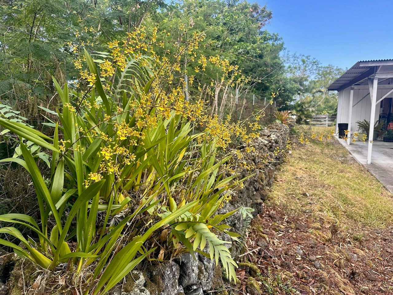 74-4975 KEALAKAA ST