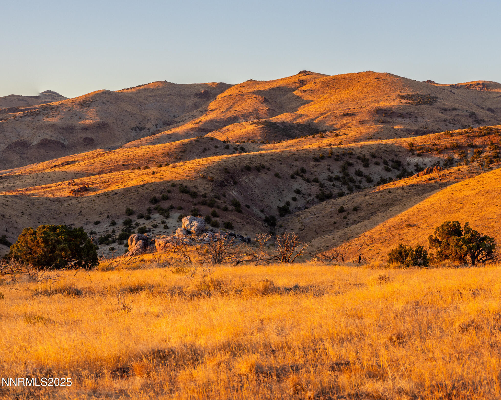1955 Piute Creek Road