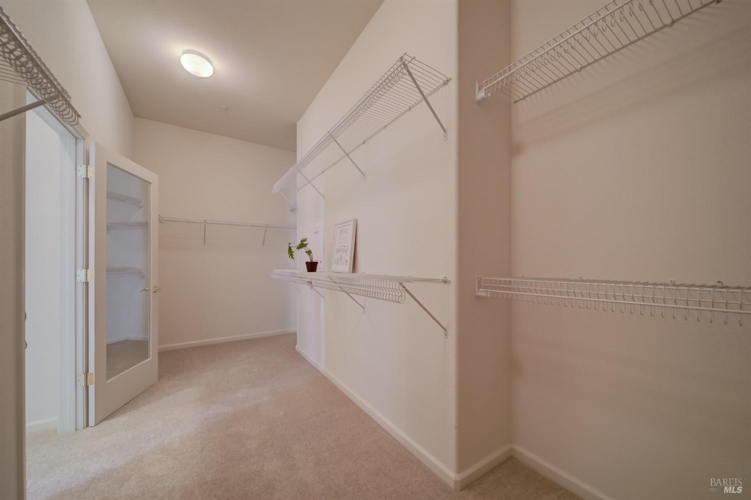 236 Wetlands Edge Rd