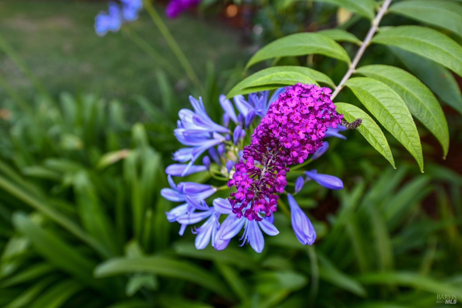 3489 Westminster Way