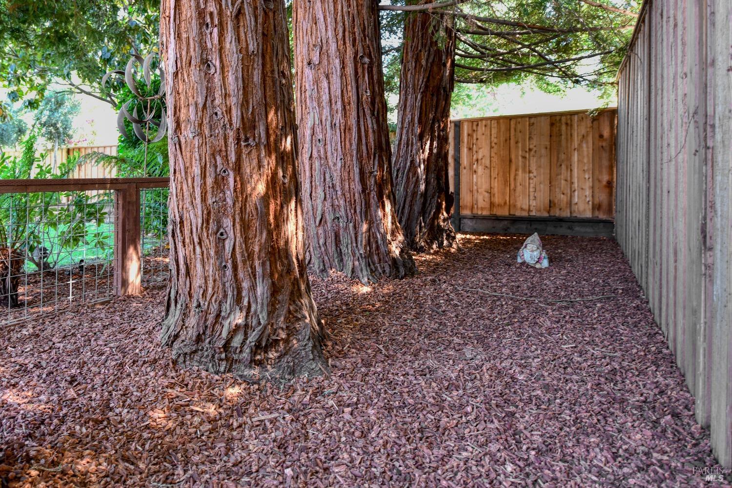 3489 Westminster Way